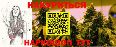 индика Ирбит