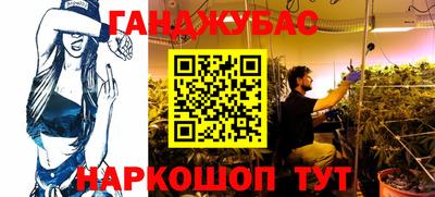 индика Ирбит