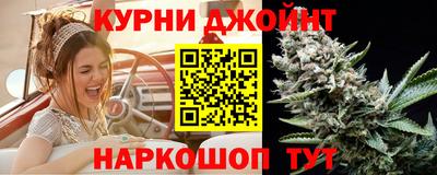 индика Ирбит