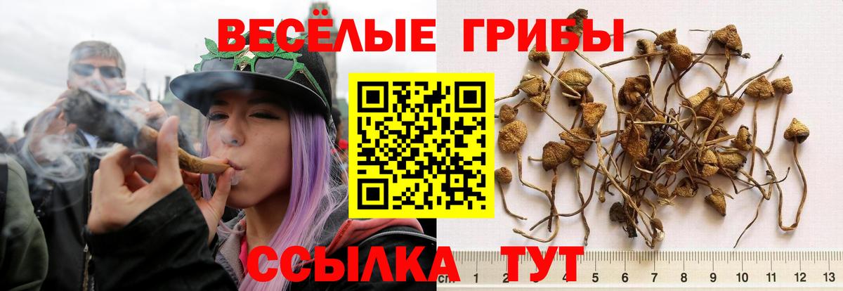 Псилоцибиновые грибы Magic Shrooms Краснокаменск